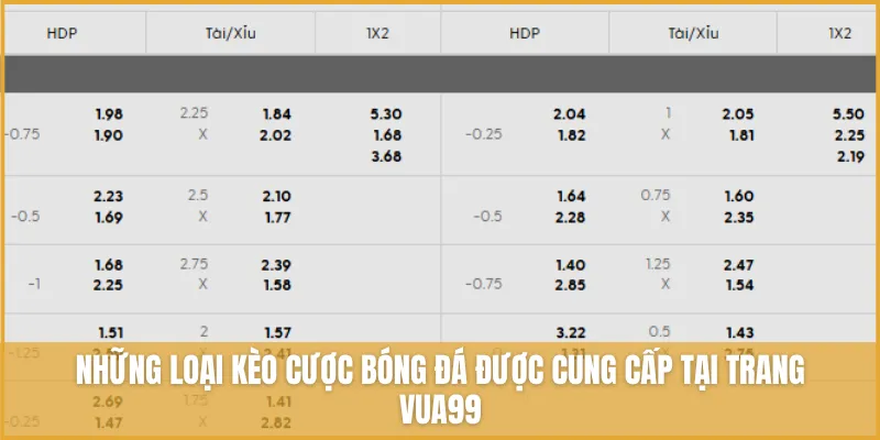 Những loại kèo cược bóng đá được cung cấp tại trang VUA99