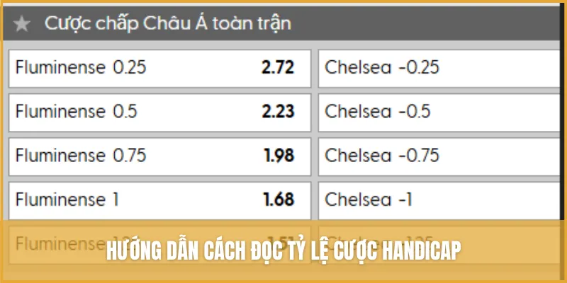 Hướng dẫn cách đọc tỷ lệ cược Handicap chuẩn nhất