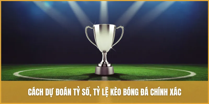 Cách dự đoán tỷ số, tỷ lệ kèo bóng đá chính xác