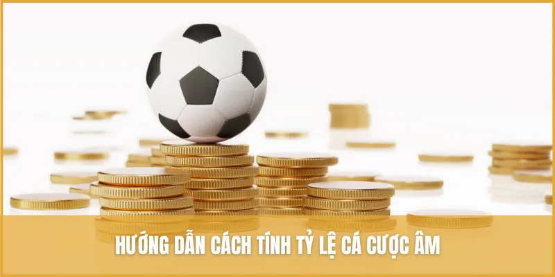Hướng dẫn cách tính tỷ lệ cá cược âm chuẩn xác