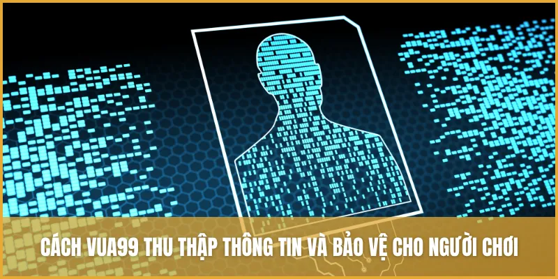 Cách VUA99 thu thập thông tin và bảo vệ cho người chơi
