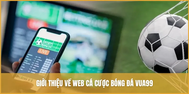 Giới thiệu về web cá cược bóng đá VUA99