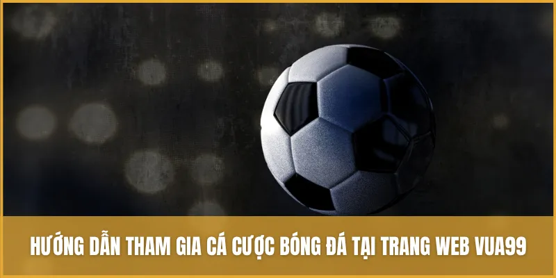 Hướng dẫn tham gia cá cược bóng đá tại trang web VUA99