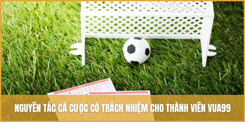 Nguyên tắc hỗ trợ thành viên VUA99 trong chơi có trách nhiệm