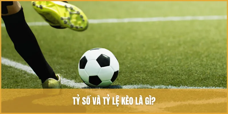 Tìm hiểu chi tiết về tỷ số và tỷ lệ kèo trong cá cược bóng đá